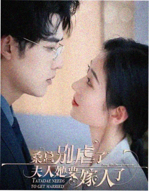 间谍过家家 第三季 高清在线